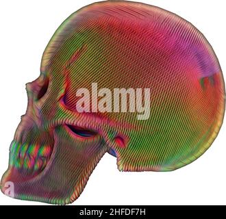 Cranio umano colorato con sfondo trasparente,3D,illustrazione Foto Stock