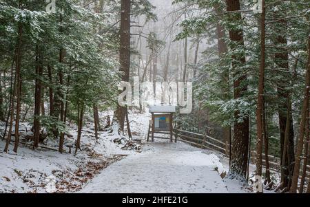 Sentiero che scende verso le cascate Kaaterskill, attraverso una foresta di abeti nebbiosi ricoperta di neve fresca. Chiosco con informazioni sulle escursioni e ringhiere lungo il percorso. Foto Stock