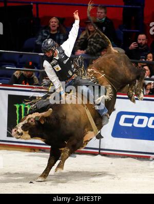 Rosemont, il, Stati Uniti. 15th Jan 2022. 15 gennaio 2022 Rosemont, Illinois, USA: .Professional bull rider MANOELITO DE SOUZA JUNIOR, di Itamira, Brasile, tenta di guidare Pico durante il Professional Bull Riders Tractor Supply Co. Scatena la serie Beast Invitational alla Allstate Arena di Rosemont, Illinois. De Souza Junior ha registrato il suo secondo finale consecutivo Top-10, andando 2-per-3 per concludere la fermata del tour quarto. (Credit Image: © H. Rick Bamman/ZUMA Press Wire) Foto Stock