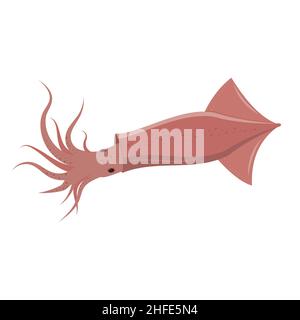 immagine vettoriale a colori, isolata, con calamari vivi su sfondo bianco, vettoriale. Illustrazione Vettoriale