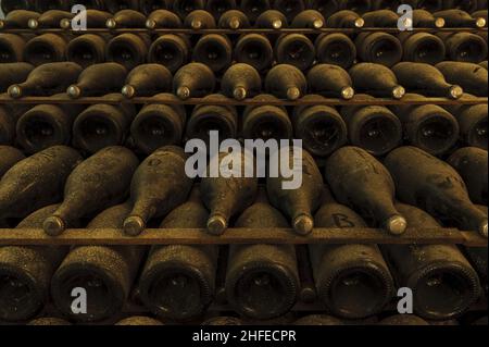 FRANCIA - MARNE (51) - LE CANTINE VEUVE CLIQUOT PONSARDIN CHAMPAGNE (LVMH) Foto Stock