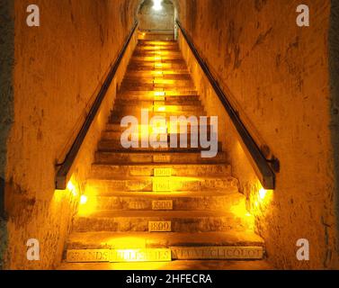 FRANCIA - MARNE (51) - LE CANTINE VEUVE CLIQUOT PONSARDIN CHAMPAGNE (LVMH) Foto Stock