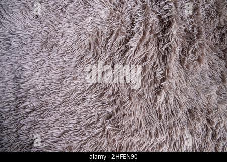 La tessitura di un tappeto bianco con pelo lungo Foto stock - Alamy