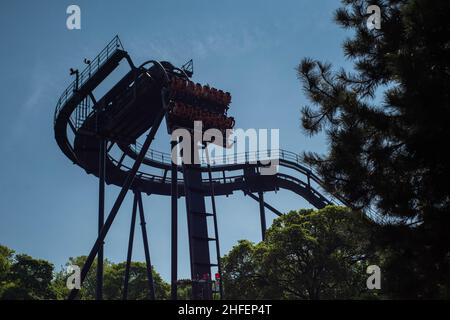 Alton Towers, dove la magia non finisce mai, immagini di altissima qualità del parco a tema e montagne russe del Regno Unito Foto Stock