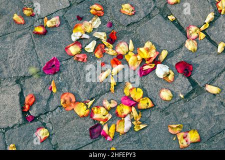 fiori di fiori che giacciono a terra dopo una cerimonia nuziale Foto Stock