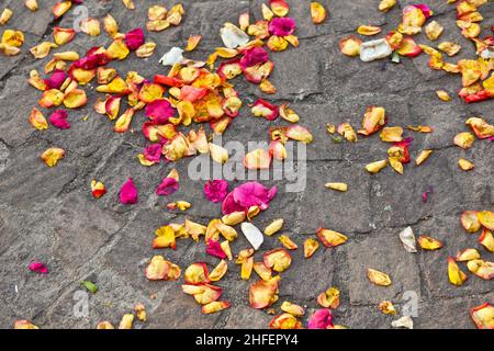fiori di fiori che giacciono a terra dopo una cerimonia nuziale Foto Stock