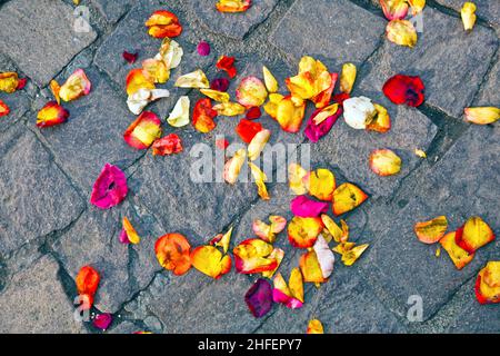 fiori di fiori che giacciono a terra dopo una cerimonia nuziale Foto Stock