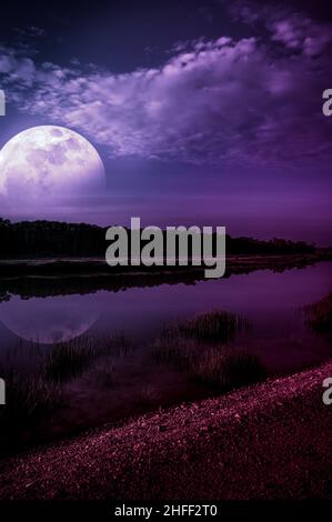 Bellissimo paesaggio di cielo notturno con nuvola e luna super sopra le sagome degli alberi sul lungofiume. Serenità sfondo naturale, all'aperto di notte. Foto Stock