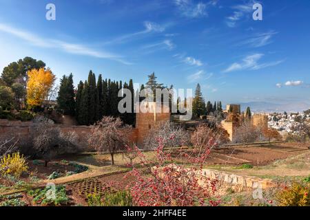 ALHAMBRA PALACE GRANADA ANDALUCIA SPAGNA GIARDINI DI FRONTE ALLE MURA DELLA FORTEZZA Foto Stock