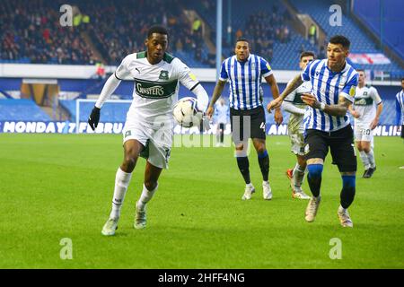 Hillsborough, Sheffield, Inghilterra -15th gennaio 2022 Giordania Garrick (14) di Plymouth e Marvin Johnson (18) di Sheffield Mercoledì caccia per la palla - durante la partita Sheffield Mercoledì v Plymouth Argyle, Sky Bet League One, 2021/22, Hillsborough, Sheffield, Inghilterra - 15th gennaio 2022 credito: Arthur Haigh/WhiteRosePhotos/Alamy Live News Foto Stock