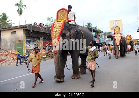 Festa tradizionale degli elefanti ( ULSAVAM ) in Kerala INDIA Foto Stock