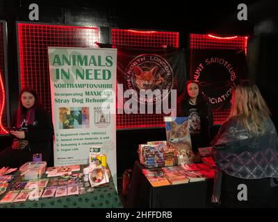 Animali bisognosi Vegetarian Market a Wolverton Milton Keynes UK cani randagi Maxicare rehoming Vegan cafe volpi volpi aiutare a fermare l'attacco che attacca la carità Foto Stock