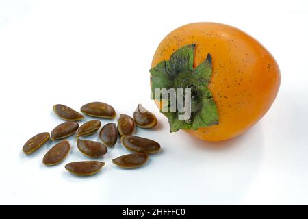 Un persimmon maturo intero e semi su sfondo bianco. Semi di persimmon maturi. Arancio di persimmon in autunno. Foto Stock