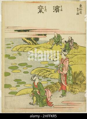 Hamamatsu, dalla serie "cinquantatre stazioni del Tokaido (Tokaido gojusan tsugi)", Giappone, c.. 1806. Foto Stock