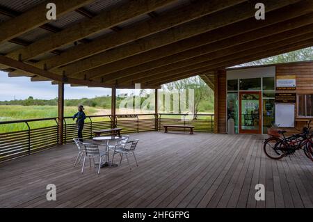 Birdwatching all'estero Llano Grande state Park. McAllen, Texas, Stati Uniti. Foto Stock