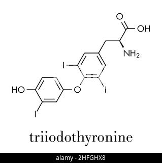 Triiodotironina (T3, liotironina) molecola di ormone tiroideo. Ormone ipofisi della ghiandola. Utilizzato anche come farmaco per il trattamento dell'ipotiroidismo. Formula scheletrica. Illustrazione Vettoriale