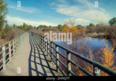 Ponte o passerella in legno a Las Doblas, Sanlucar la Mayor, Siviglia Foto Stock