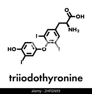 Triiodotironina (T3, liotironina) molecola di ormone tiroideo. Ormone ipofisi della ghiandola. Utilizzato anche come farmaco per il trattamento dell'ipotiroidismo. Formula scheletrica. Illustrazione Vettoriale