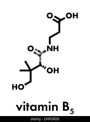 Molecola di vitamina B5 (acido pantotenico, pantotenato). Formula scheletrica. Illustrazione Vettoriale