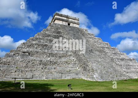 La Pirámide, Tempio di Kukulcán (Templo de Kukulkán - El Castillo), Chichén Itzá, Stato di Yucatán, Messico, America del Nord, Sito patrimonio dell'umanità dell'UNESCO Foto Stock