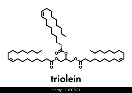Trigliceride dell'olio d'oliva. Esempio di trigliceride di olio d'oliva, contenente 3 parti di acido oleico (gliceril trioleato). Formula scheletrica. Illustrazione Vettoriale
