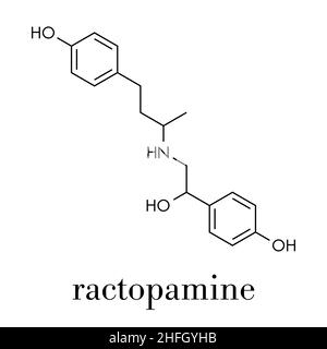Ractopamine additivo per mangimi molecola. Formula di scheletro. Illustrazione Vettoriale