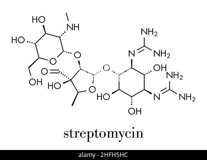 La streptomicina tubercolosi (antibiotico amminoglicoside classe molecola). Formula di scheletro. Illustrazione Vettoriale
