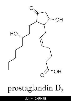 La prostaglandina D2 (PGD2 molecola). Formula di scheletro. Illustrazione Vettoriale