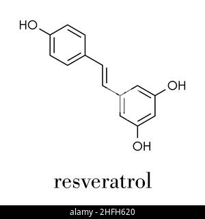 Molecola di resveratrolo. Presente in molte piante, tra cui uva e lamponi. Si ritiene che abbia un certo numero di effetti positivi sulla salute. Formula scheletrica Illustrazione Vettoriale
