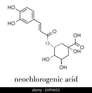 Molecola di acido neoclorogenico. Formula scheletrica. Illustrazione Vettoriale