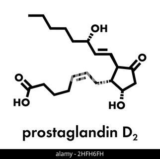 La prostaglandina D2 (PGD2 molecola). Formula di scheletro. Illustrazione Vettoriale