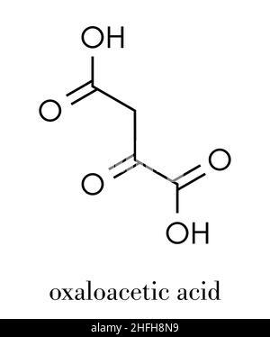 Acido ossalico molecola. Formula di scheletro Immagine e Vettoriale - Alamy