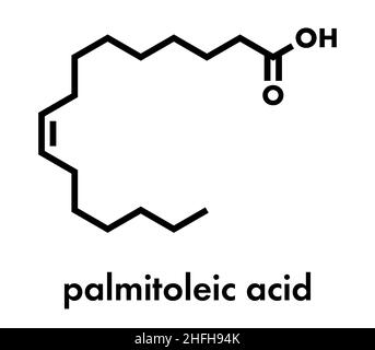 Acido palmitoleico (omega-7) Molecola di acido grasso. Formula di scheletro. Illustrazione Vettoriale