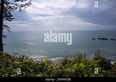 Kalaloch Beach 4 è uno dei luoghi migliori del Parco Nazionale Olimpico per esplorare le piscine maree. Foto Stock