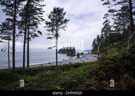 Kalaloch Beach 4 è uno dei luoghi migliori del Parco Nazionale Olimpico per esplorare le piscine maree. Foto Stock