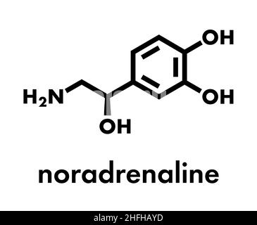 Norepinefrina (noradrenalina, norepi) ormone e neurotrasmettitore molecola. Formula di scheletro. Illustrazione Vettoriale