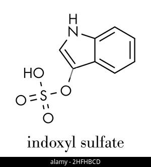 Molecola di indossil solfato. Metabolita del triptofano. Formula scheletrica. Illustrazione Vettoriale