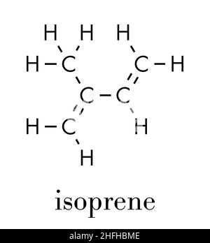 Blocco di costruzione di isoprene, gomma (poliisoprene) (monomero). Formula scheletrica. Illustrazione Vettoriale