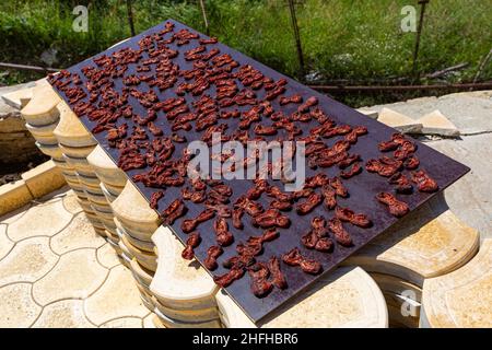 Albicocche snocciolate su pannelli per asciugare al sole in cortile all'aperto. Raccogliendo e immagazzinaggio di frutte. Frutta secca sana preparata a casa Foto Stock