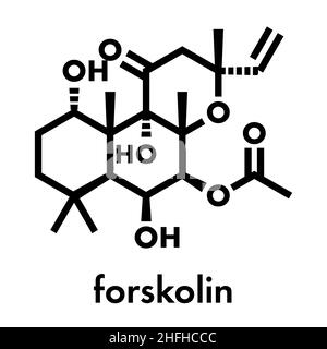 Il Forskolin (coleonol molecola). Attiva l'enzima adenil ciclasi, risultante in un aumento dei livelli di cAMP. Formula di scheletro. Illustrazione Vettoriale