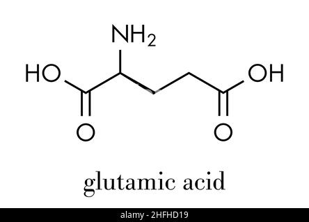 Acido glutammico (acido l-glutammico, Glu, e) amminoacido e molecola neurotrasmettitore. Formula scheletrica. Illustrazione Vettoriale