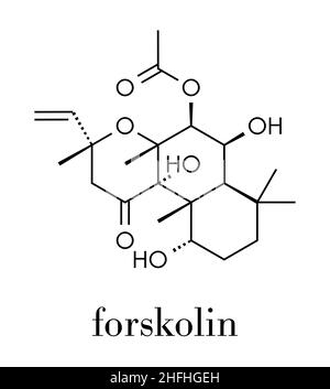 Il Forskolin (coleonol molecola). Attiva l'enzima adenil ciclasi, risultante in un aumento dei livelli di cAMP. Formula di scheletro. Illustrazione Vettoriale