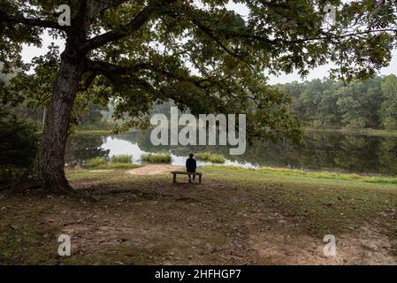 Una persona solita siede su una panca accanto ad un lago in una zona boschiva. Foto Stock