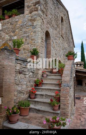 Tipica casa toscana in pietra decorata con vasi di fiori nei pressi di Montalcino, Toscana, Italia. Foto Stock