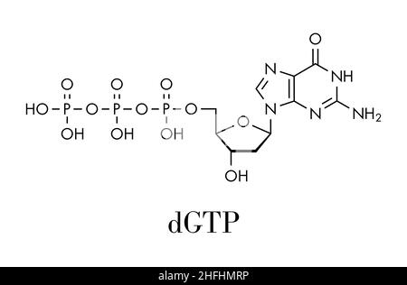 Molecola nucleotidica deossiguanosina trifosfato (dGTP). Blocco di costruzione del DNA. Formula scheletrica. Illustrazione Vettoriale