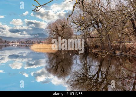 Riflesso panoramico della vegetazione del lago di Schliersee in Baviera, Germania Foto Stock