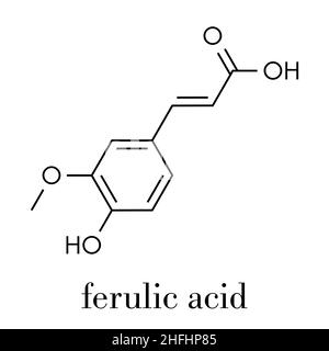 Molecola antiossidante a base di erbe dell'acido ferulico. Formula scheletrica. Illustrazione Vettoriale