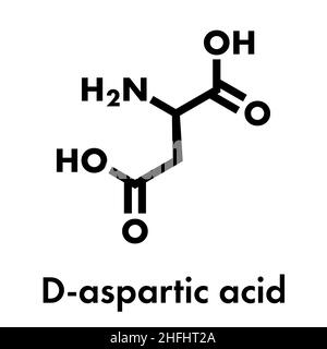 D-acido aspartico (D-aspartato) aminoacido molecola. Formula di scheletro. Illustrazione Vettoriale