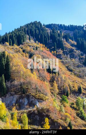 Alberi e paesaggi montani nella zona di Himalayan Zailiyskiy Alatau (Ile Alatau) ai piedi della catena settentrionale di Tian Shan sopra Almaty, Kazakhstan, Asia Foto Stock
