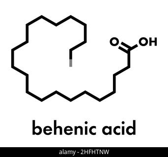 Acido behenico (acido docosanoico) saturata molecola di acido grasso. Formula di scheletro. Illustrazione Vettoriale